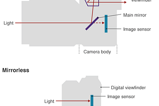 DSLR vs Mirrorless | Future of Digital Cameras ?