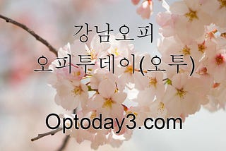 홍대핸플『〖추천사이트: optoday3.com〗』↗오피투데이(오투)♥통↘인천오피사이트