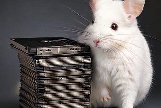 A floppy bureaucracy