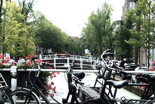 6 Bulan di Delft, Belanda