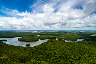 Amazônia: O Poder das Redes Sociais