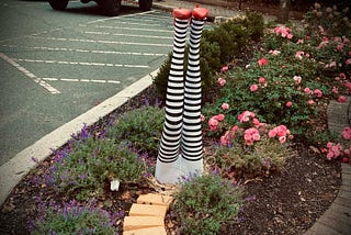 Image shows a pair of legs, sticking up out of the ground in a garden, wearing black and white striped stockings and sparkly ruby red shoes, with a yellow brick road leading to the legs.