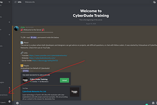 How to interact with the cyberdude-team on Discord