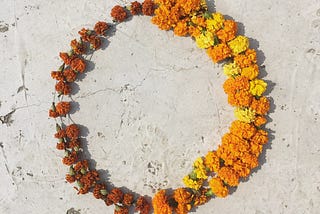 A plateful of yoga, Rishikesh October 2019