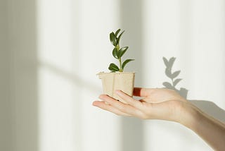 This Is Changing My Life: A Guide To Shadow Work