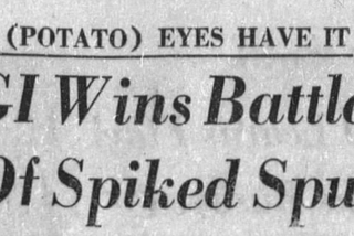 Atlanta Constitution headline: The 9potato) eyes have it. GI wins battle of spiked spud