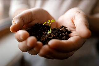 The Seeds We Plant Series #75: The Power of Self-Understanding and Overcoming Stereotypes: A…