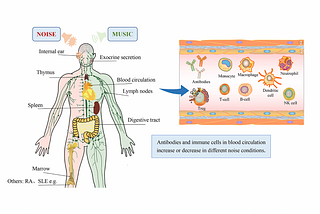 The Healing Beat: How Music Resonates with the Immune System