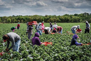 Why The College Educated Disdain Manual Labor
