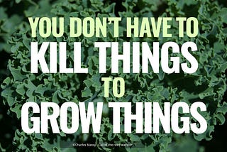 You don’t have to kill things to grow things — Quote from Call of the Reed Warbler by Charles Massy