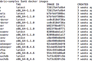 Hyperledger — Chapter 7 | Installing Hyperledger Fabric