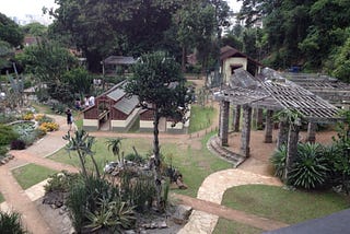 Jardim Botânico do Rio de Janeiro. (Foto: Cactário)