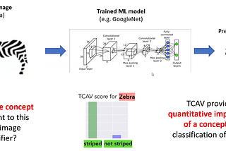 Unveiling Insights in Supply Chain Data using Concept Activation Vectors (CAVs)