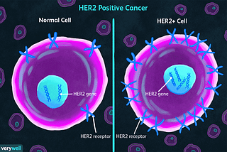 An overview about HER2-positive metastatic cancer in less than 300 words