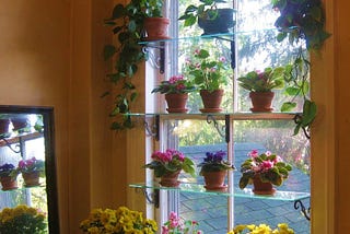 5 Easy Unique DIY Mini Greenhouse Ideas