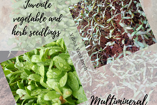 MICROGREENS — WITH MACRO BENEFITS!!