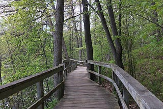 The Natural Splendor of Rattray Marsh Conservation Area in Mississauga, ON