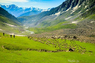 Nature Lover’s Pilgrimage — Kashmir Great Lakes trek