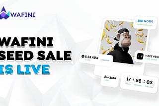 Wafini Token Seed Sale Is Live (How To Buy $WFI Tokens)