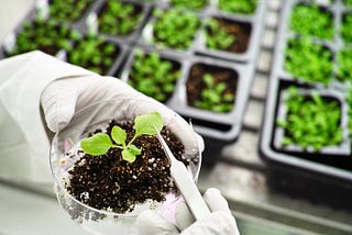 The Future of Ag Biotechnology