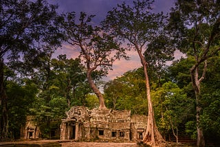 Ta Prohm, Photos from Shutterstock