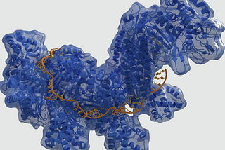 Interview with Data Zealot and Biohacker, Dr. Erwin Graham