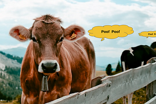 The Paradox of Methane Emissions: The Low Hanging Fruit in the Battle to Reverse Climate Change