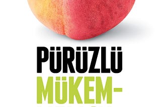 Pürüzlü Mükemmellik