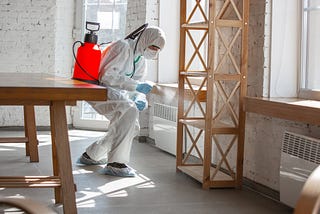 Pest Control in Lucknow