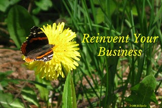 Why Reinventing Your Business Now is Necessary