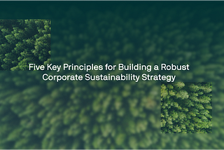 Five Key Principles for Building a Robust Corporate Sustainability Strategy