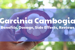 Garcinia cambogia has exploded in popularity in recent years, though it has been a slow-burning…