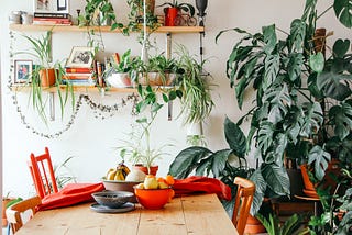 12 Ways to Practice Sustainability at Home