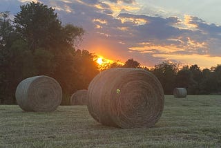 The Wheat and the Tares: Are followers of Jesus called to sift the wheat?