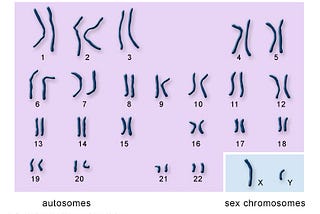 How to Analyse Your Own DNA: A Personal Experience