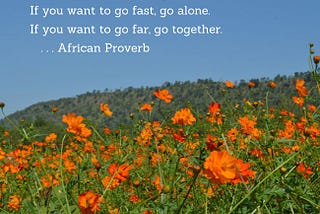 African proverb. Go fast alone. Go far together.