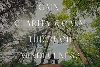 Clearing the Mind: Using Mindfulness to Gain Clarity and Calm