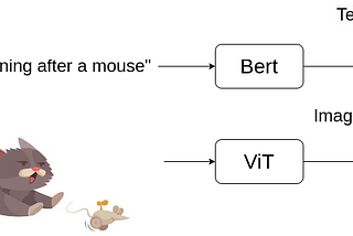 Text and Image Embeddings in Transformers