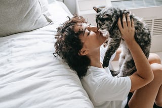 The Right Way to Bond With Your Cat | MeowFluent