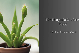 The Diary of a Confused Plant — Part 12: The Eternal Cycle (The Finale)
