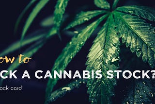 How to evaluate and pick cannabis stocks?