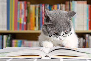 Friendly Neighborhood Book Nerds Submission Guidelines