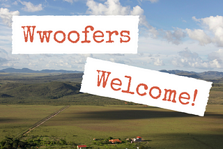 Wwoofers Welcome!