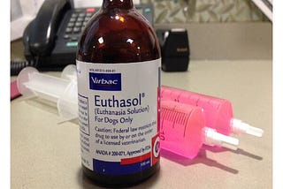 Why isn’t euthanasia legal for humans?