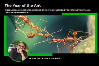 The Year of the Ant
