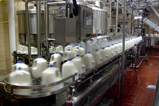 How a milk processing plant works?