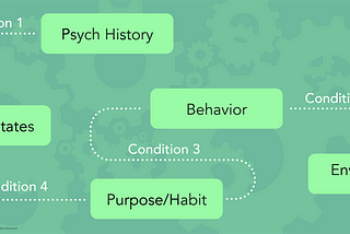Previously mentioned conditions creating a path between psych history, states, purpose, behavior, and environment