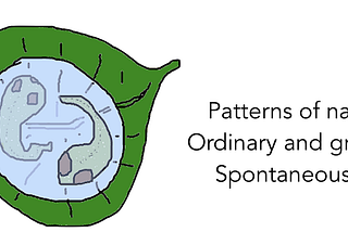 Patterns of Nature