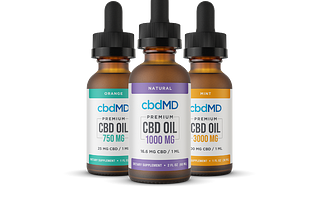 Benefits of Taking CBD During the Day