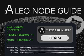 How to install and run an Aleo testnet node detailed guide